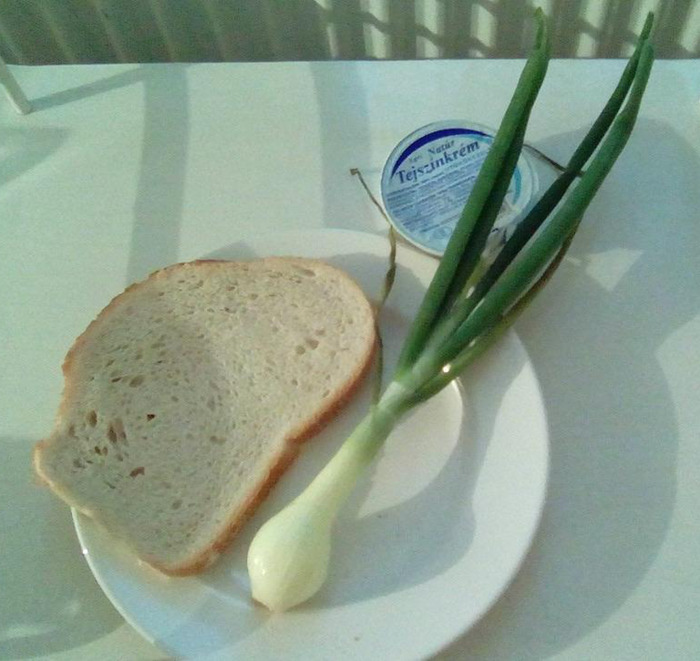 4 Makanan Rumah Sakit Ini Malah Bikin Pasien Nggak Kunjung Sembuh